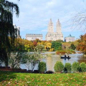 new-york-city-manhattan-central-park_649448-4090